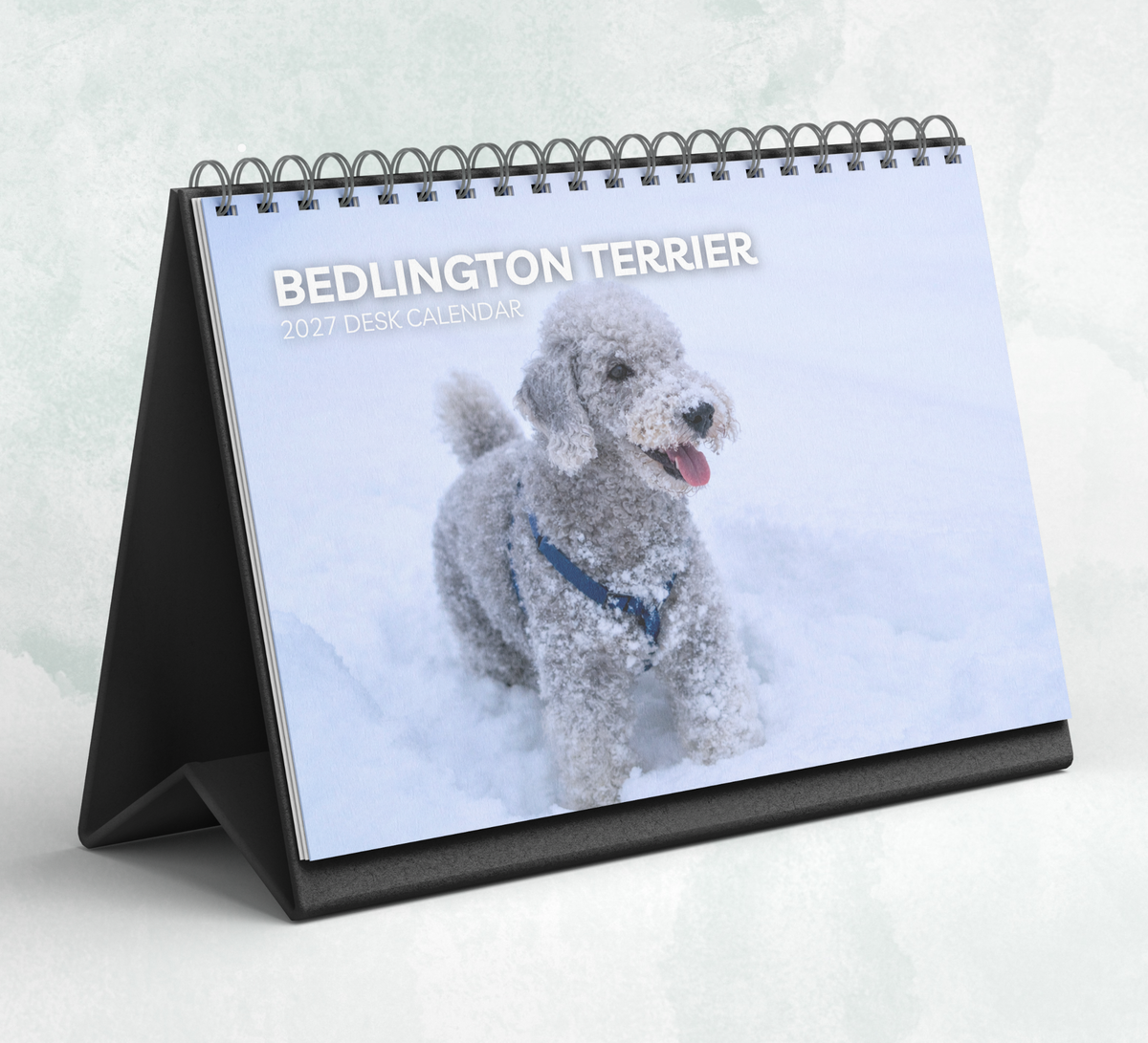 Bedlington Terrier Desk Calendar 2027-2028