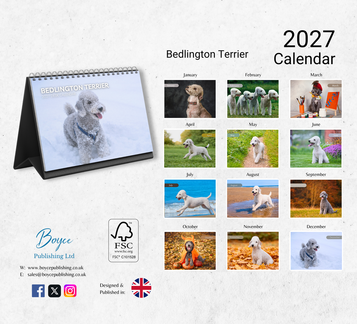 Bedlington Terrier Desk Calendar 2027-2028