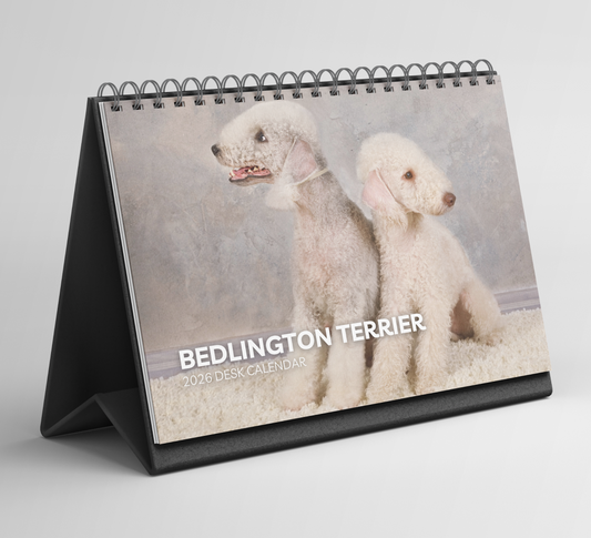 Bedlington Terrier Desk Calendar 2026-2027