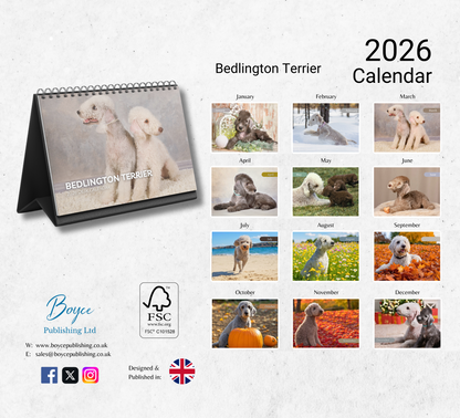 Bedlington Terrier Desk Calendar 2026-2027