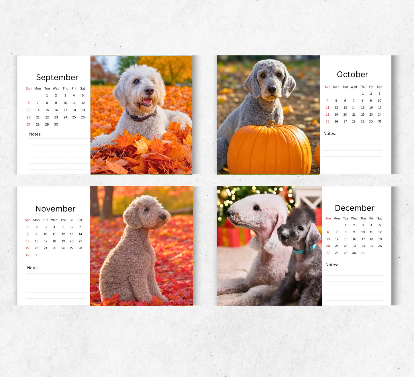 Bedlington Terrier Desk Calendar 2026-2027
