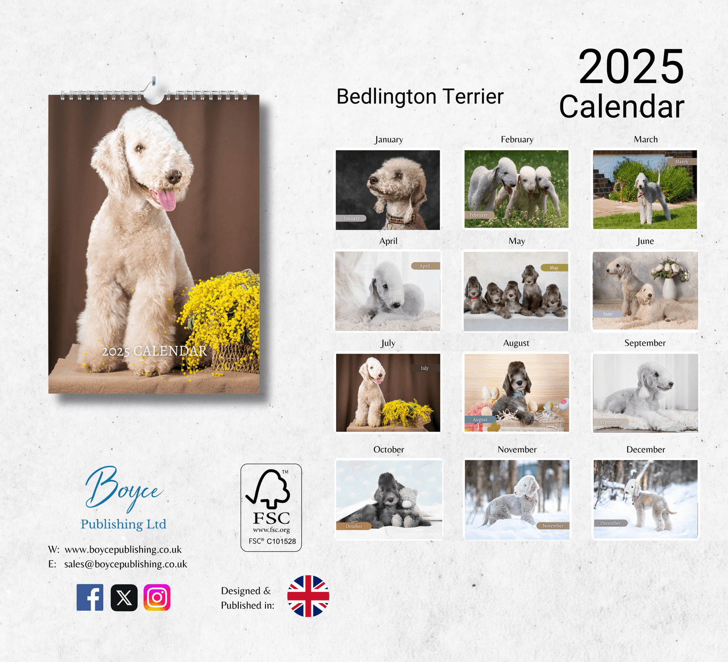 Bedlington Terrier Calendar 2025