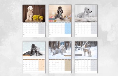 Bedlington Terrier Calendar 2025