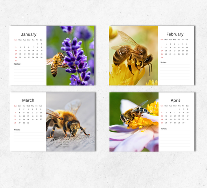 Bee Desk Calendar 2027-2028