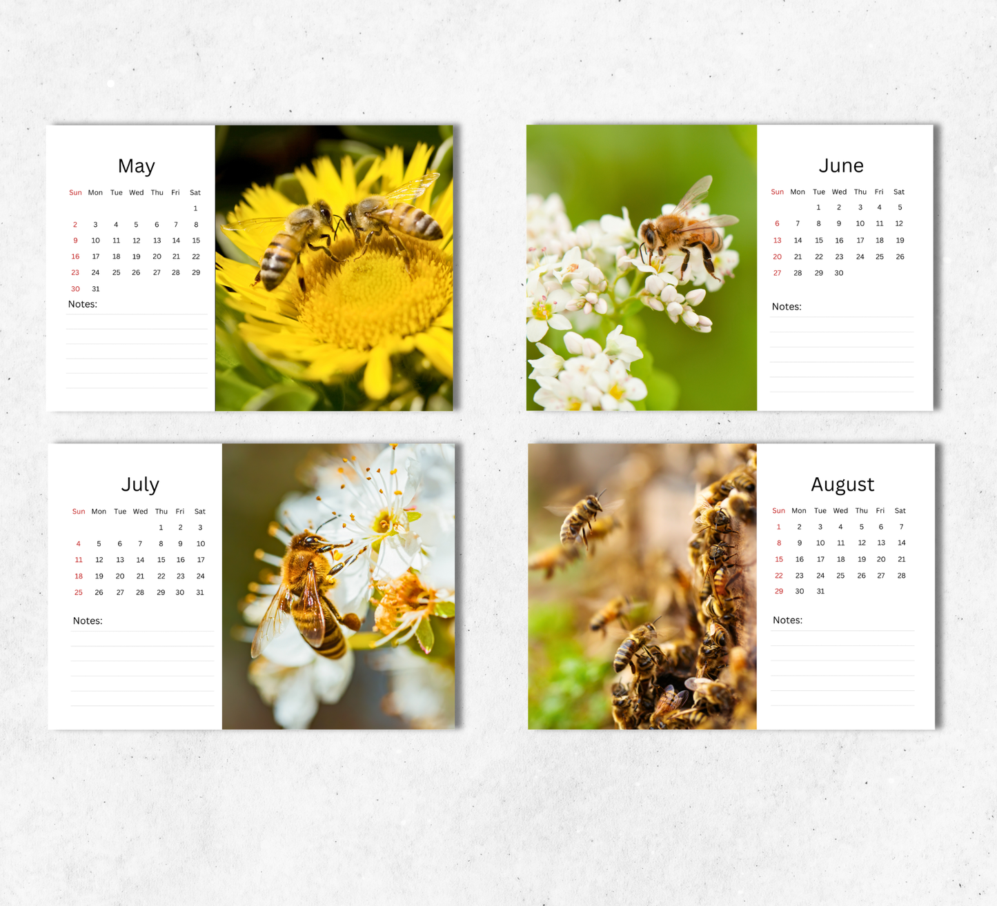 Bee Desk Calendar 2027-2028