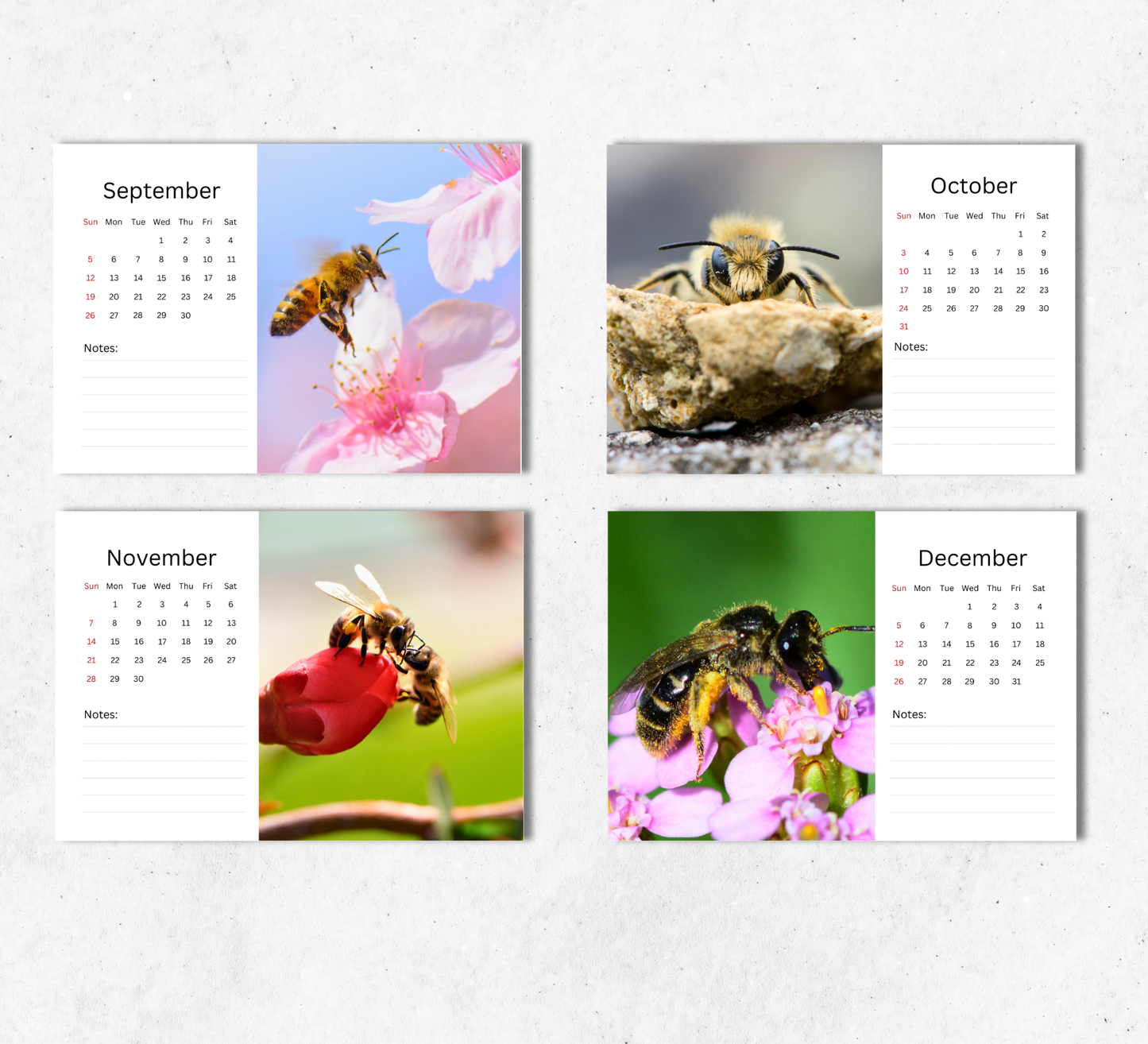 Bee Desk Calendar 2027-2028