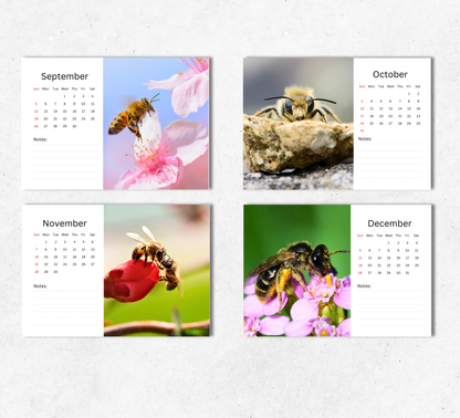 Bee Desk Calendar 2027-2028