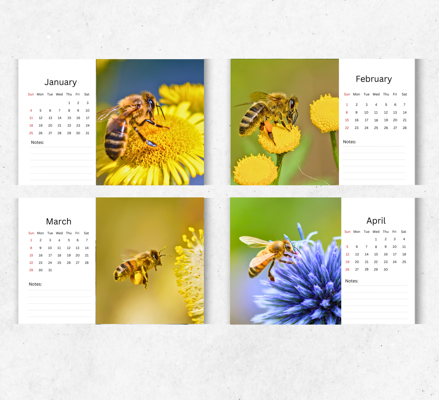 Bee Desk Calendar 2026-2027