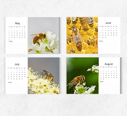 Bee Desk Calendar 2026-2027