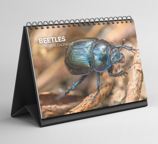 Beetles Desk Calendar 2026-2027