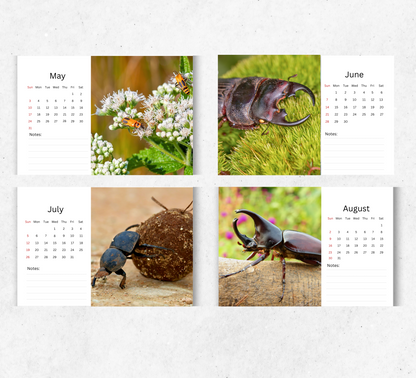 Beetles Desk Calendar 2026-2027
