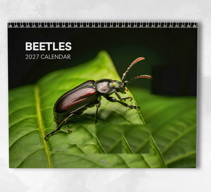 Beetles Calendar 2027