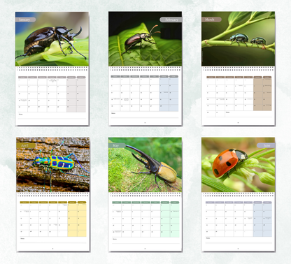 Beetles Calendar 2027