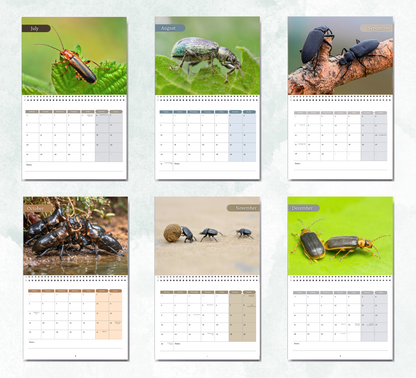 Beetles Calendar 2027