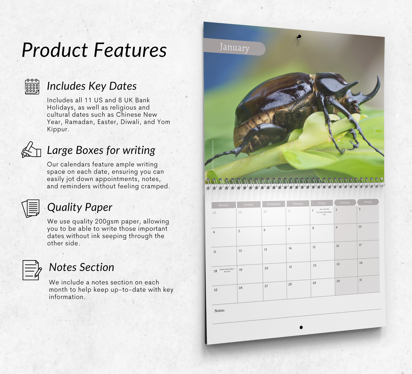 Beetles Calendar 2027