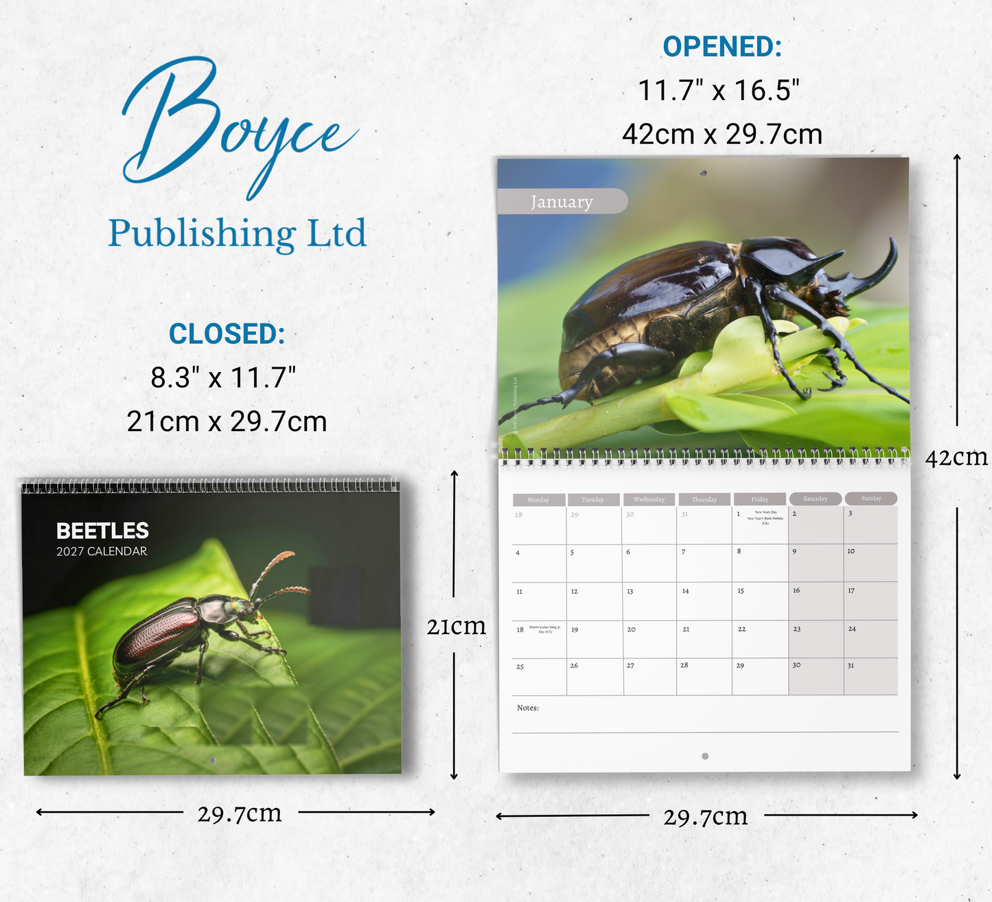 Beetles Calendar 2027