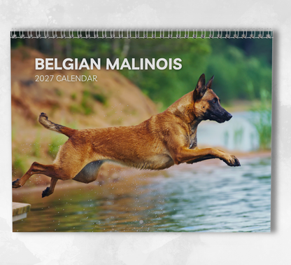 Belgian Malinois Calendar 2027