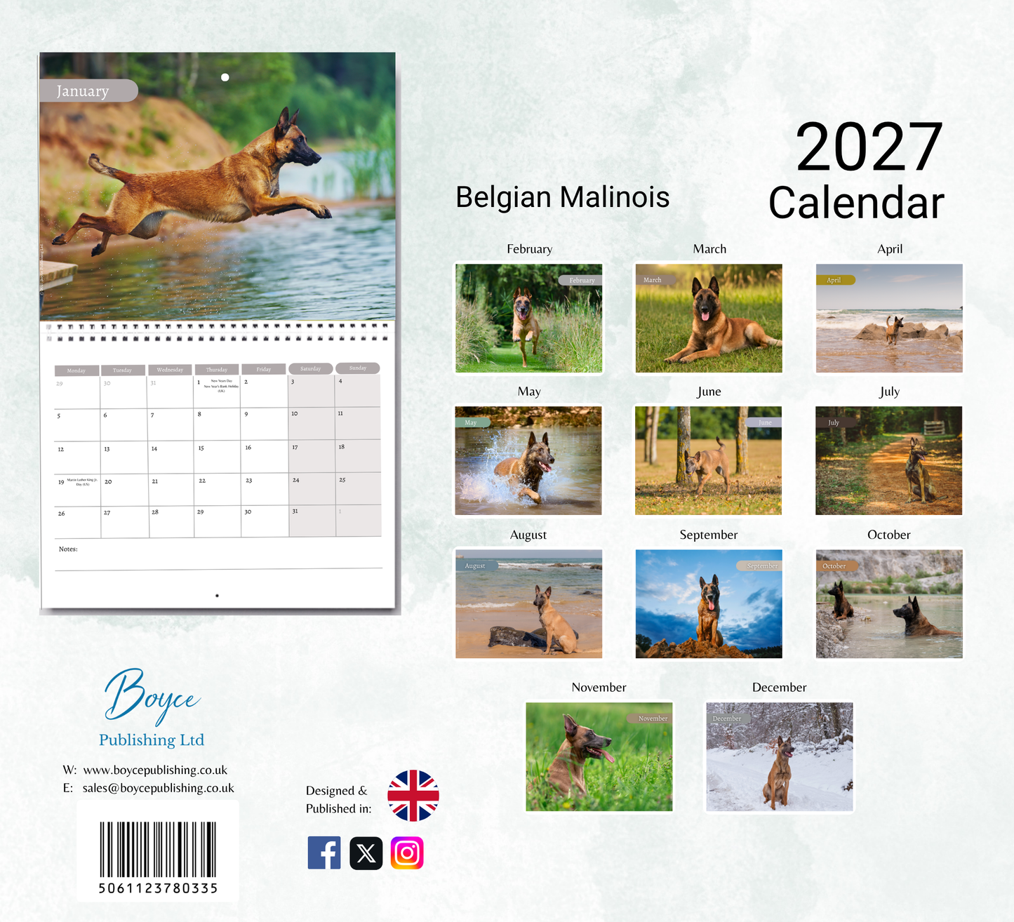 Belgian Malinois Calendar 2027