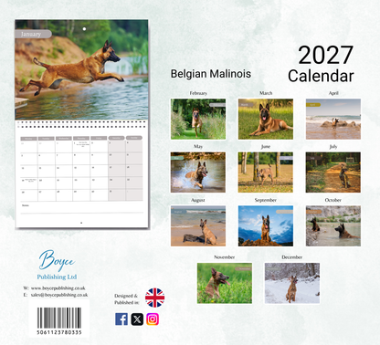 Belgian Malinois Calendar 2027