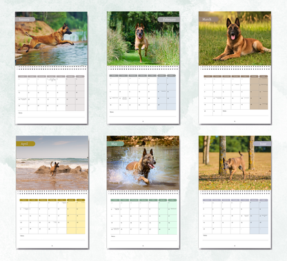 Belgian Malinois Calendar 2027