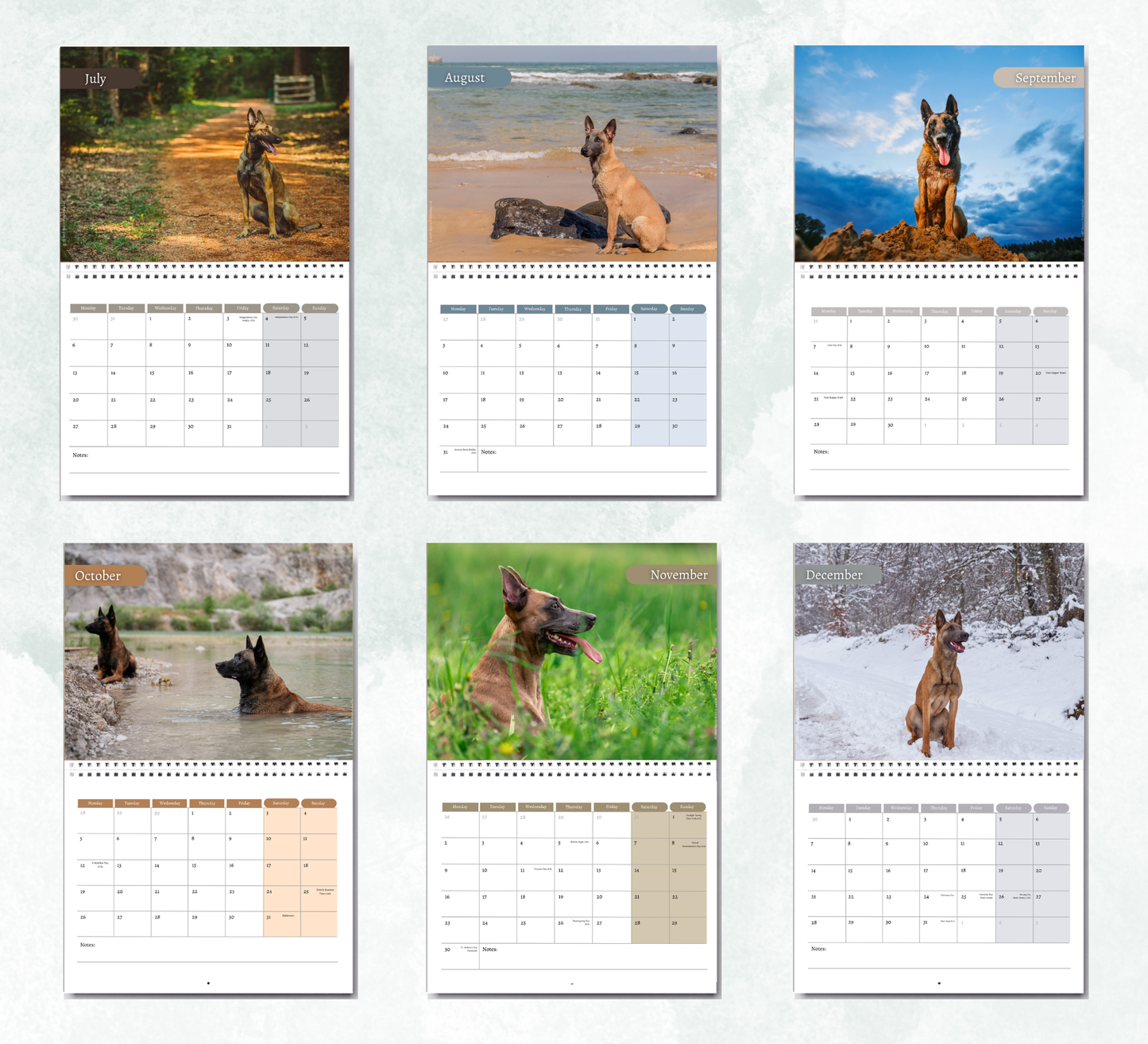 Belgian Malinois Calendar 2027