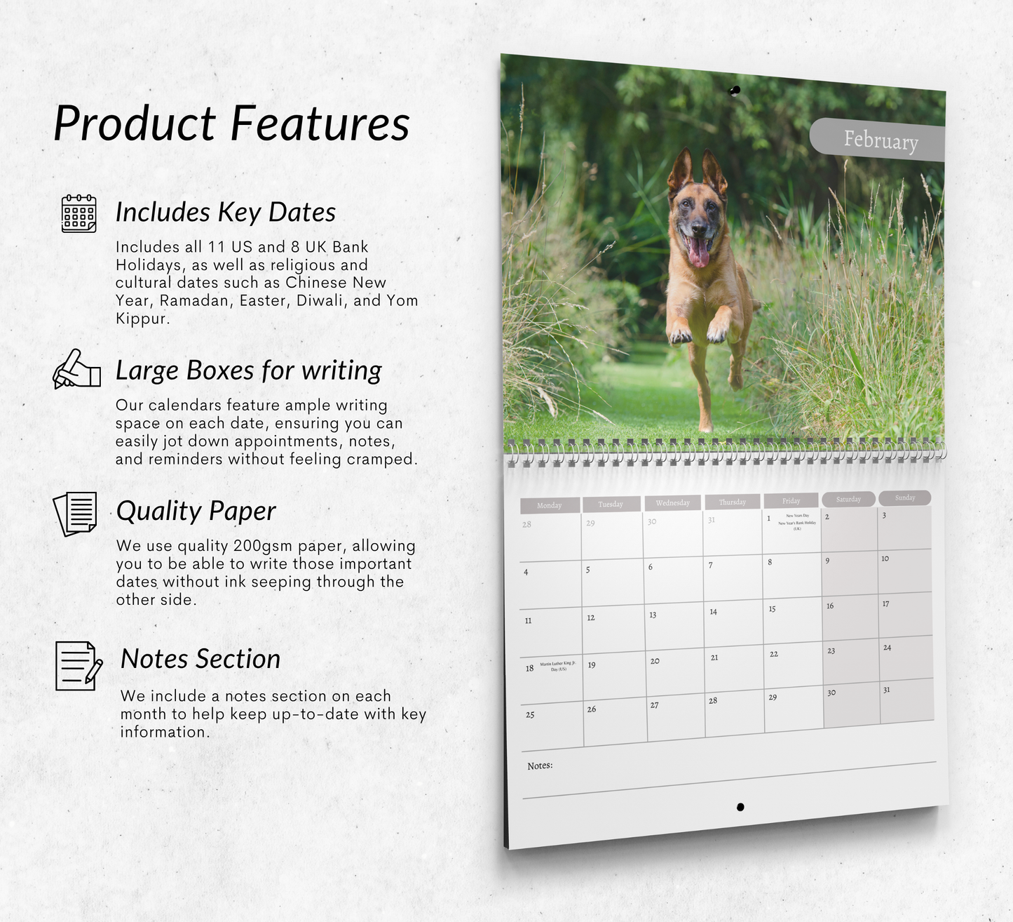 Belgian Malinois Calendar 2027