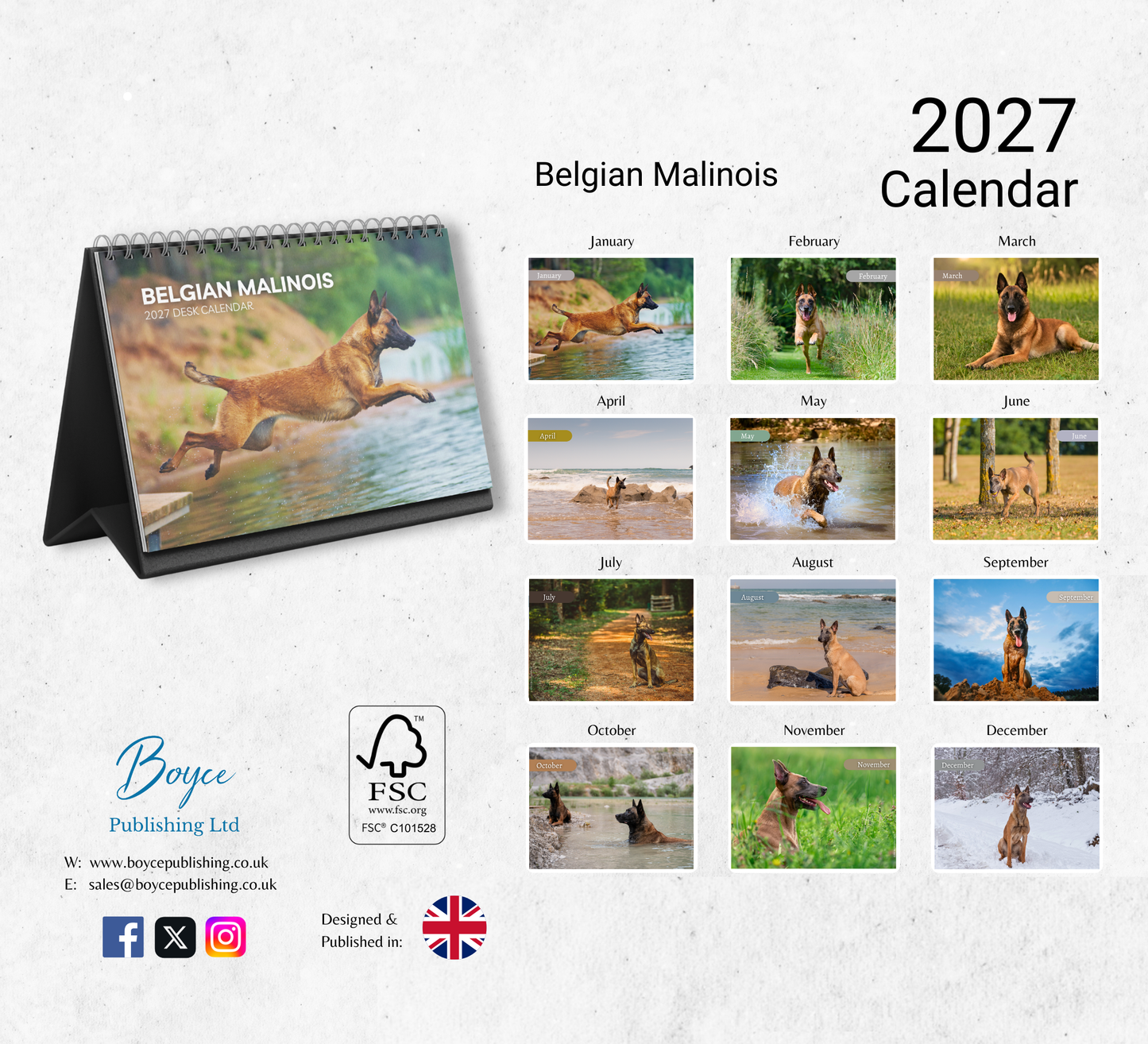 Belgian Malinois Desk Calendar 2027-2028
