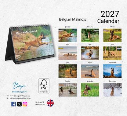 Belgian Malinois Desk Calendar 2027-2028