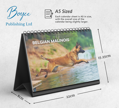 Belgian Malinois Desk Calendar 2027-2028