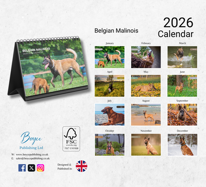Belgian Malinois Desk Calendar 2026-2027