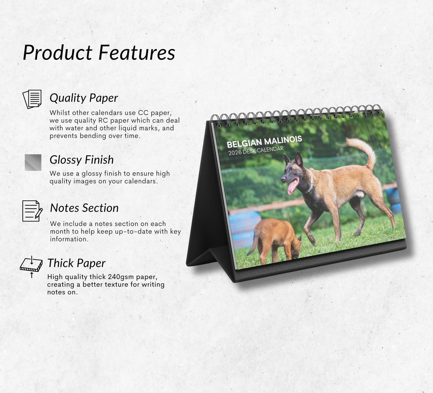Belgian Malinois Desk Calendar 2026-2027