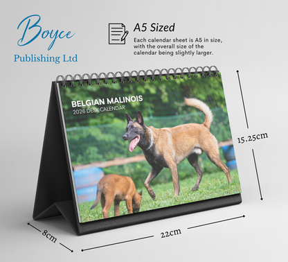 Belgian Malinois Desk Calendar 2026-2027