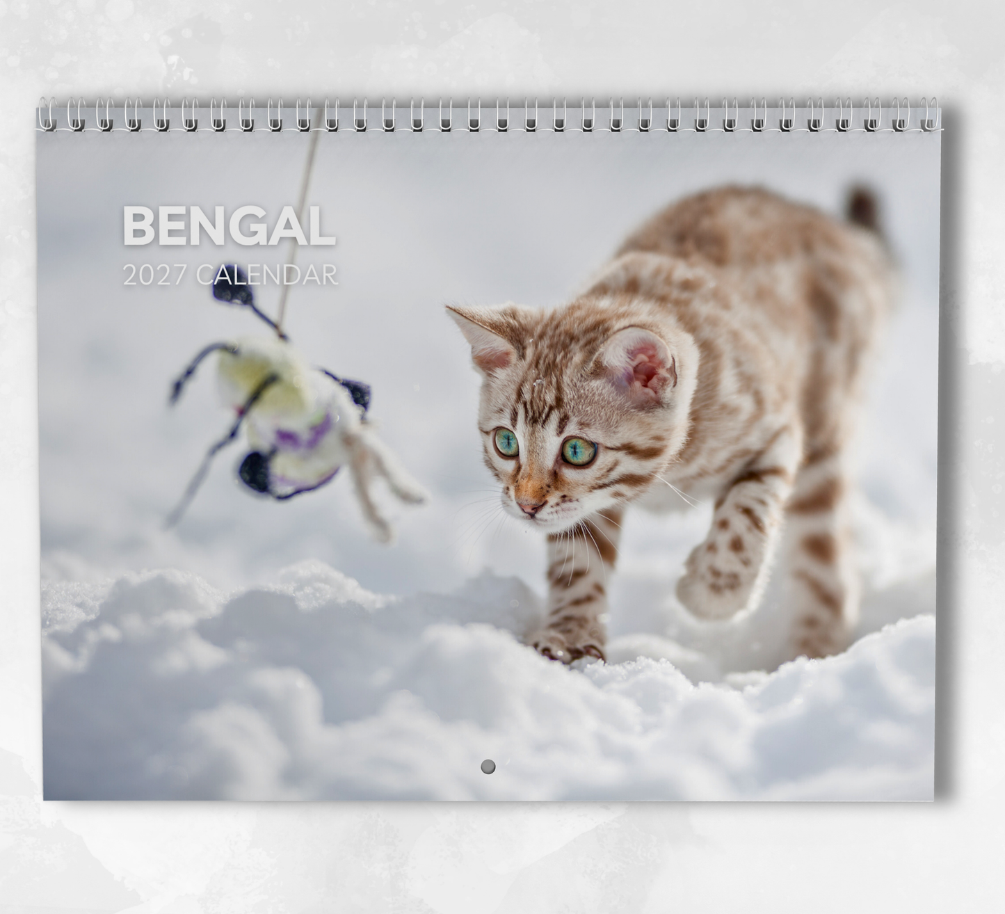 Bengal Cat Calendar 2027