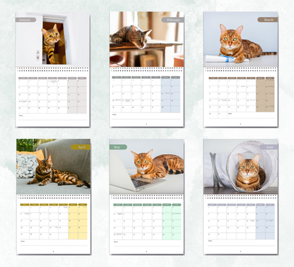 Bengal Cat Calendar 2027