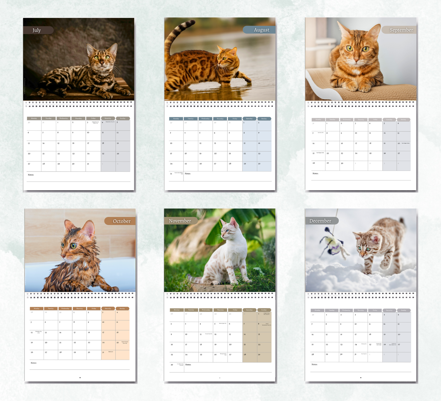 Bengal Cat Calendar 2027