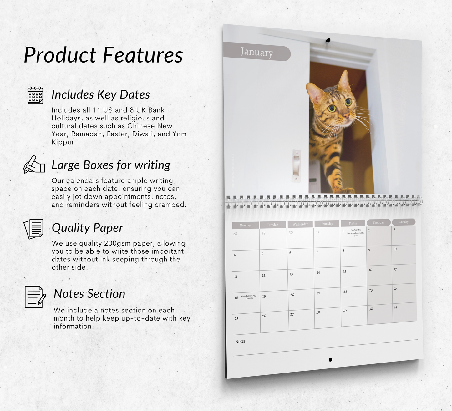 Bengal Cat Calendar 2027