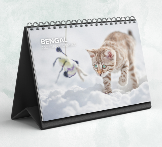 Bengal Cat Desk Calendar 2027-2028