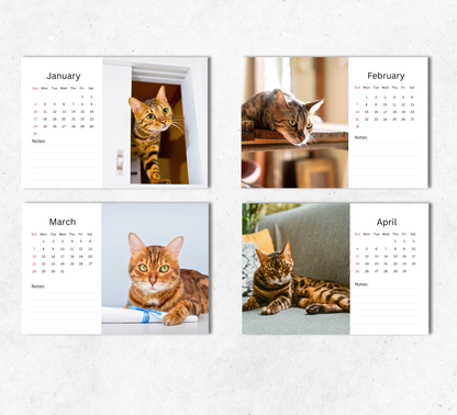 Bengal Cat Desk Calendar 2027-2028