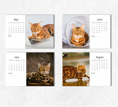 Bengal Cat Desk Calendar 2027-2028