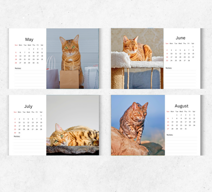 Bengal Cat Desk Calendar 2026-2027