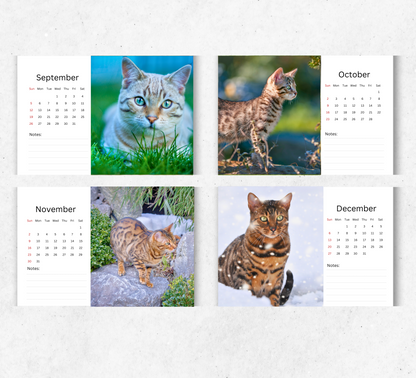 Bengal Cat Desk Calendar 2026-2027