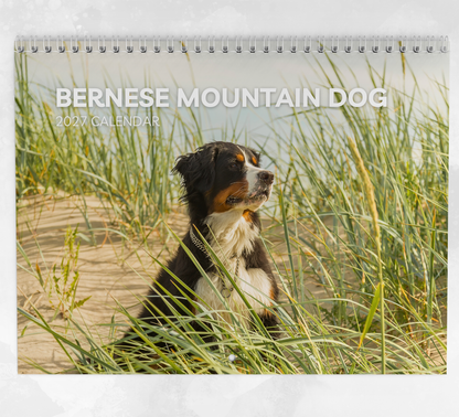 Bernese Mountain Dog Calendar 2027