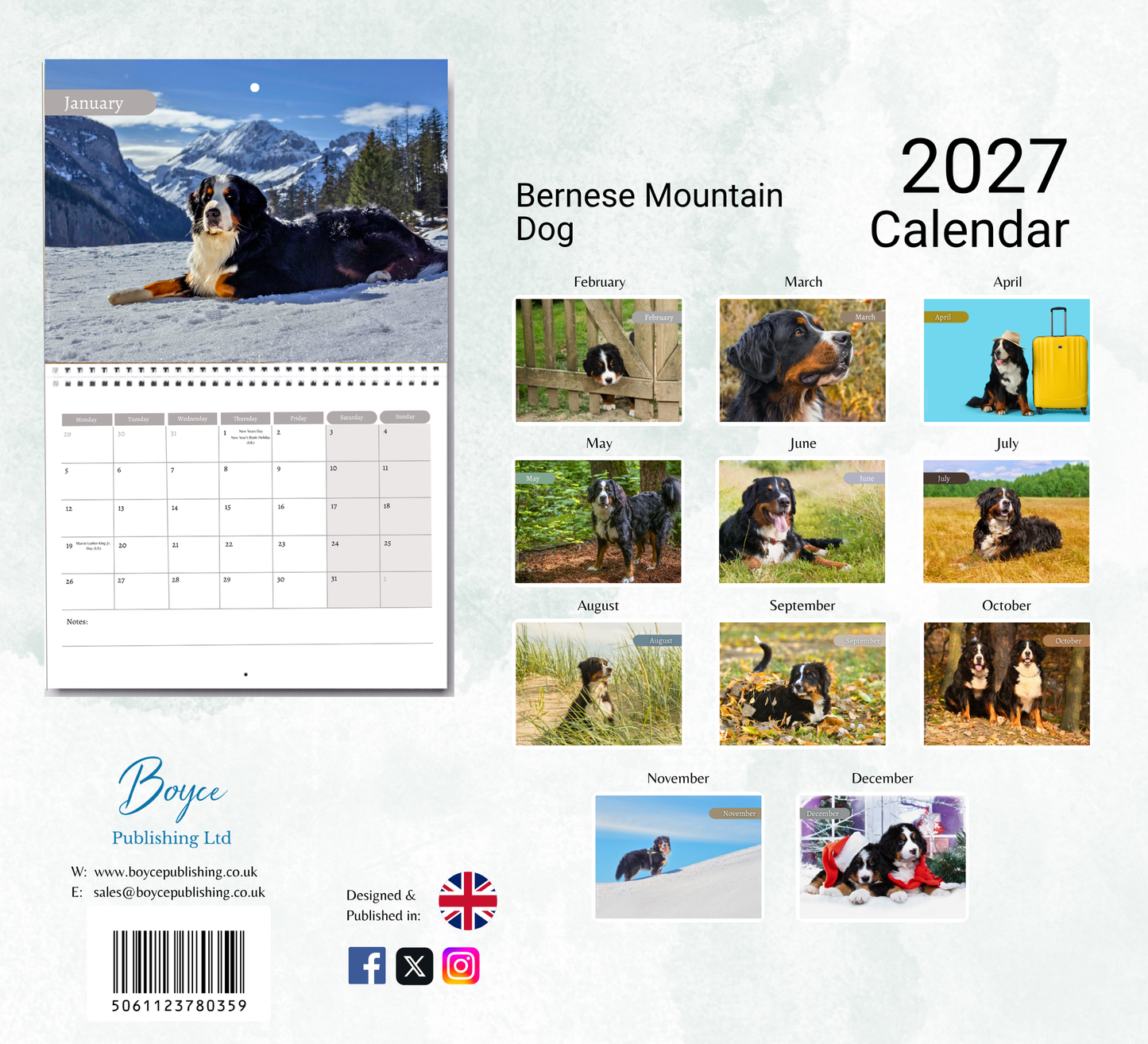 Bernese Mountain Dog Calendar 2027