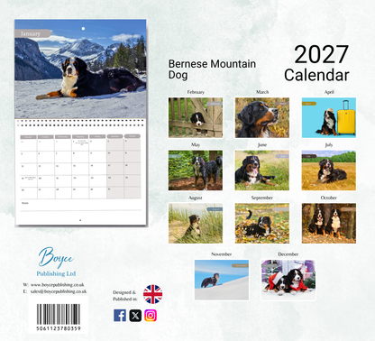 Bernese Mountain Dog Calendar 2027