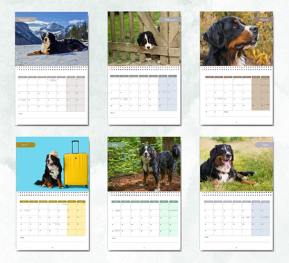 Bernese Mountain Dog Calendar 2027