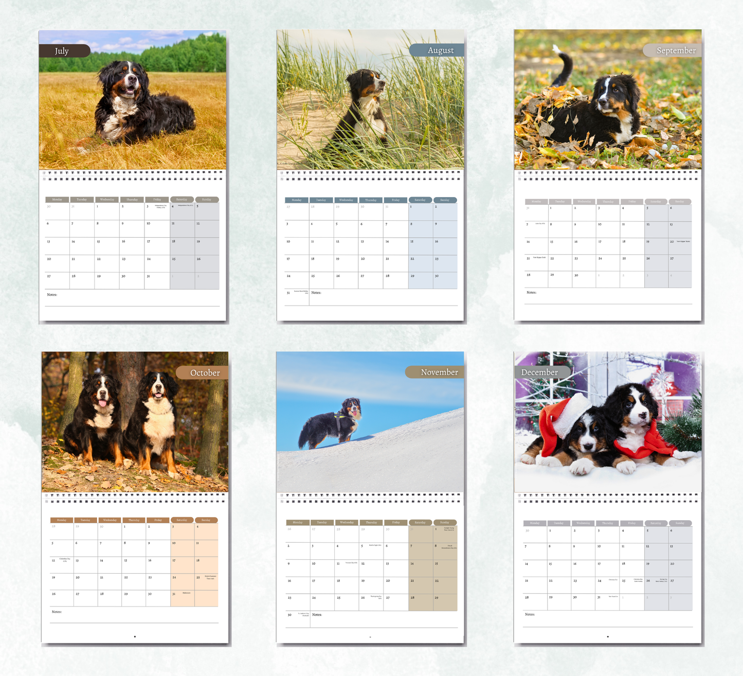 Bernese Mountain Dog Calendar 2027
