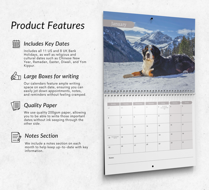 Bernese Mountain Dog Calendar 2027