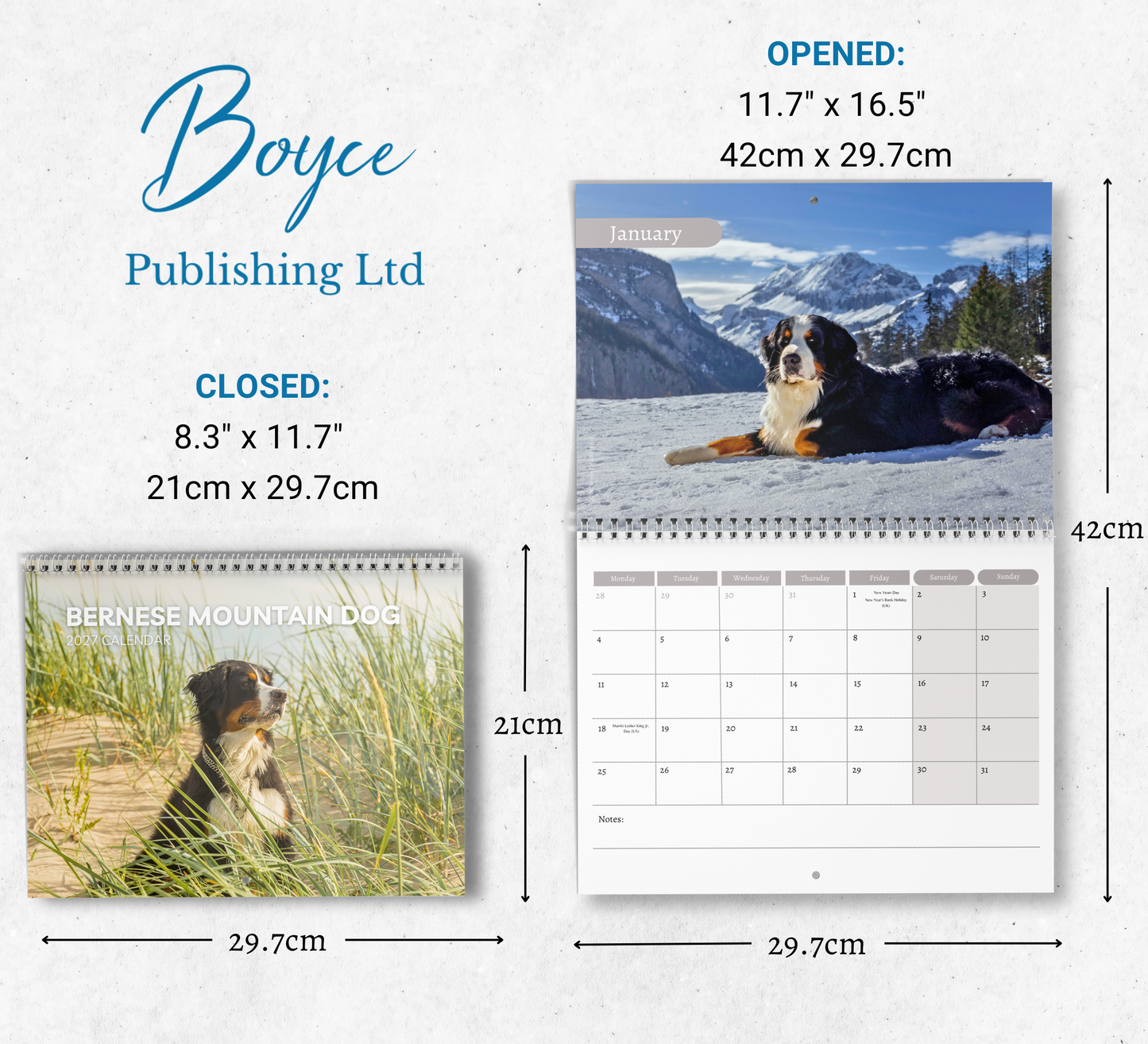 Bernese Mountain Dog Calendar 2027