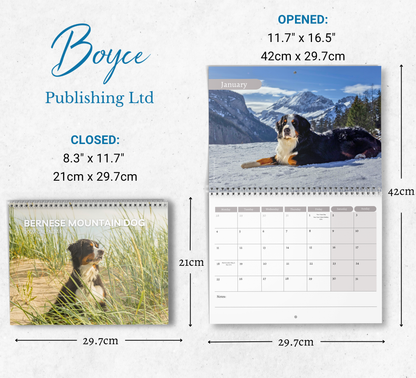 Bernese Mountain Dog Calendar 2027