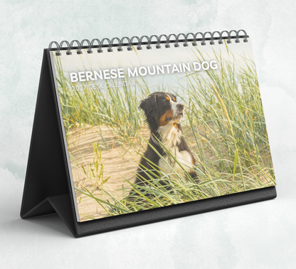 Bernese Mountain Dog Desk Calendar 2027-2028